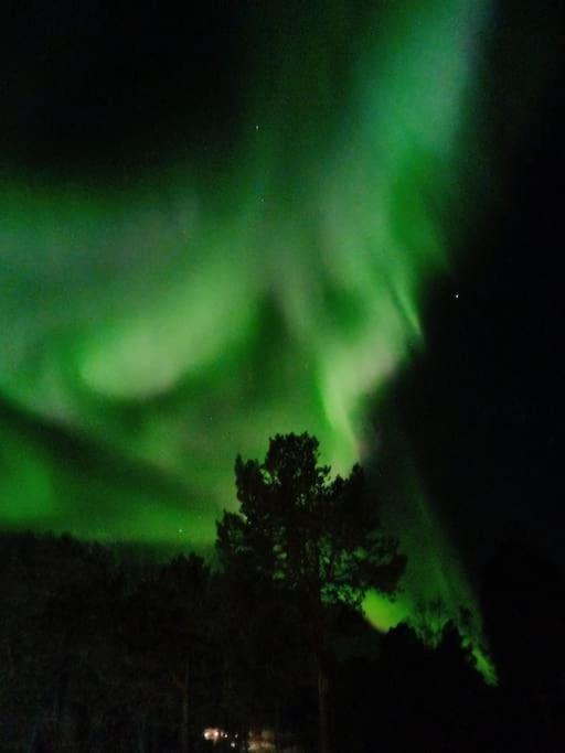 Koselig Og Moderne Leilighet, Meget Sentralt I Narvik Med Gratis Parkering! Kültér fotó