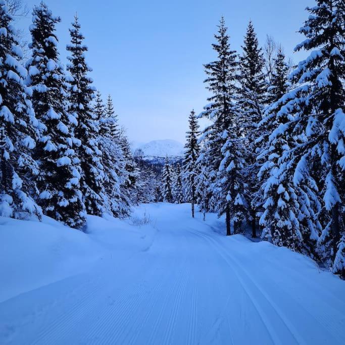 Koselig Og Moderne Leilighet, Meget Sentralt I Narvik Med Gratis Parkering! Kültér fotó
